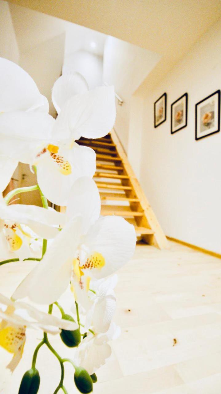 6 min to Amusement Park - Economy Rooms in Shared Apartment