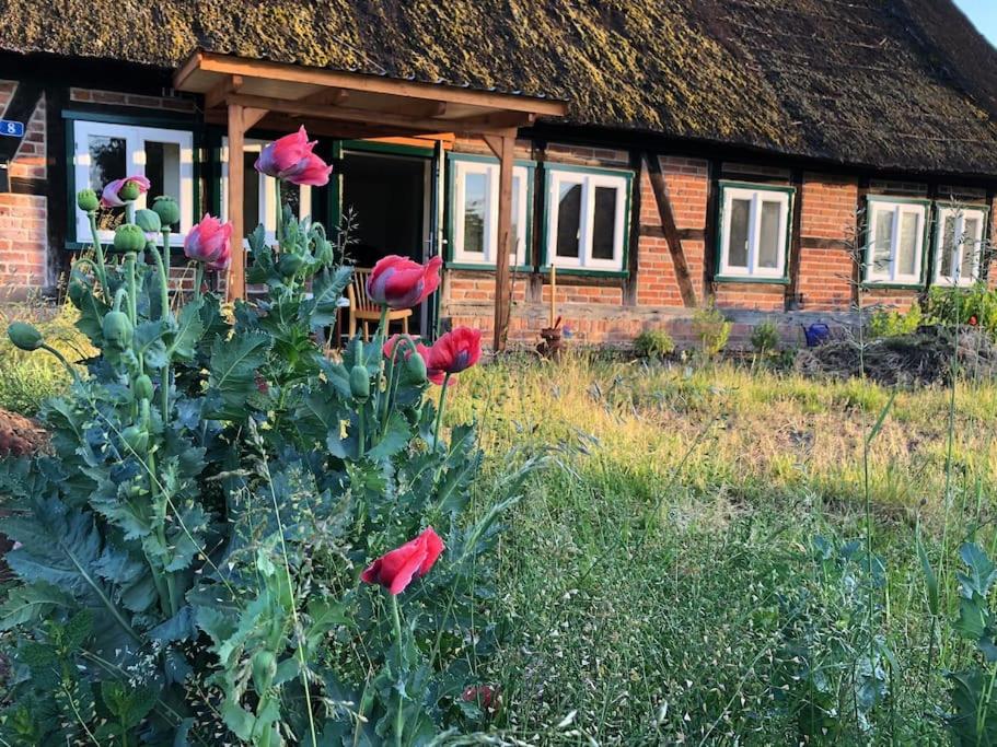 Haus an Fluss und See