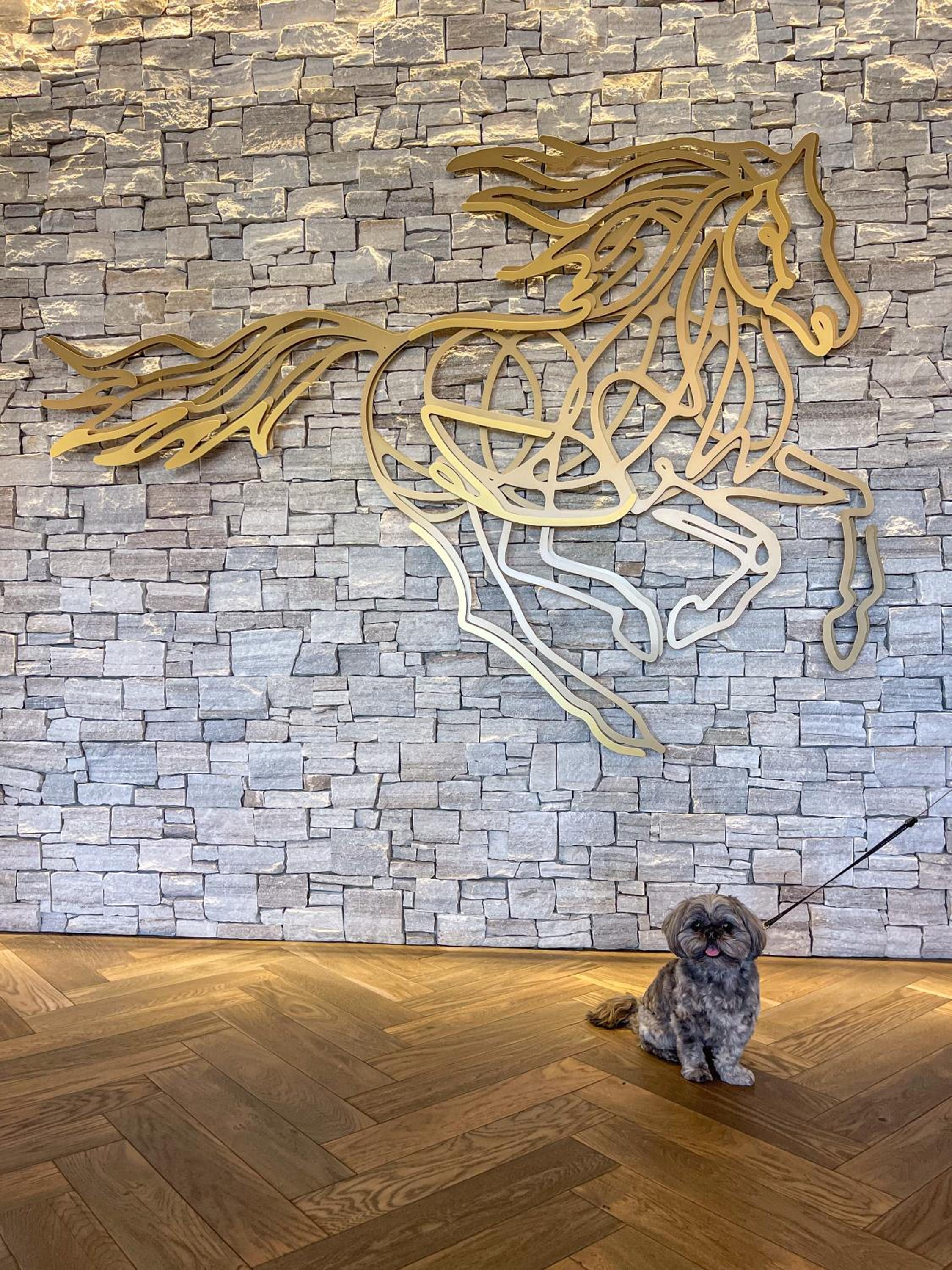 Flying Horse Resort & Club