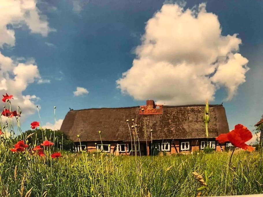 Haus am Fluss und See