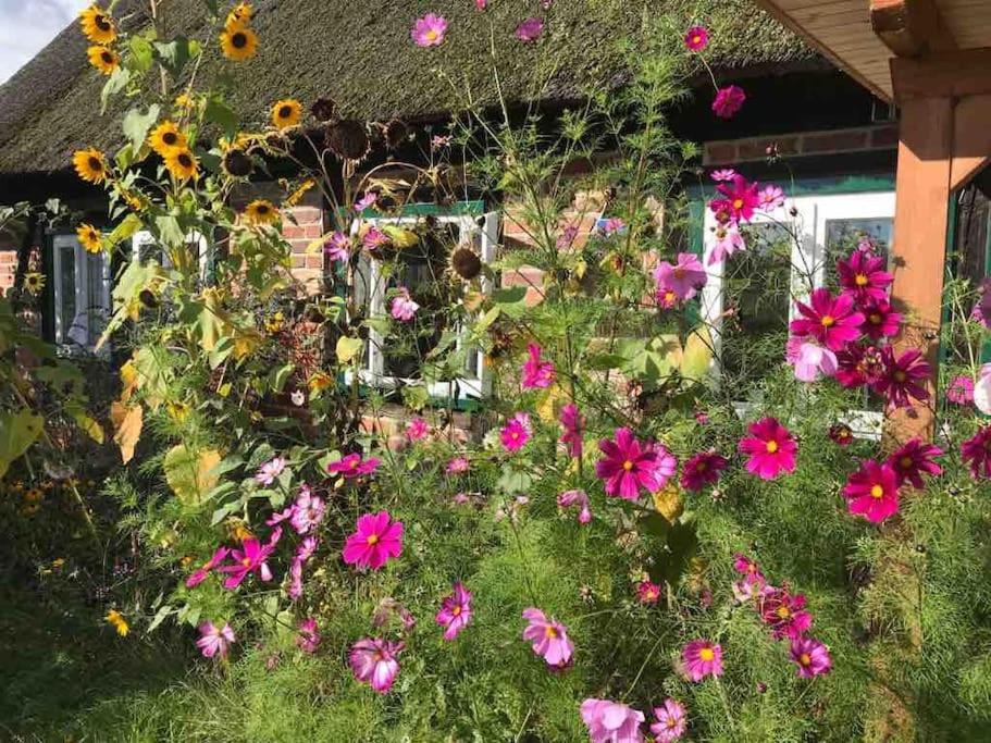 Haus am Fluss und See