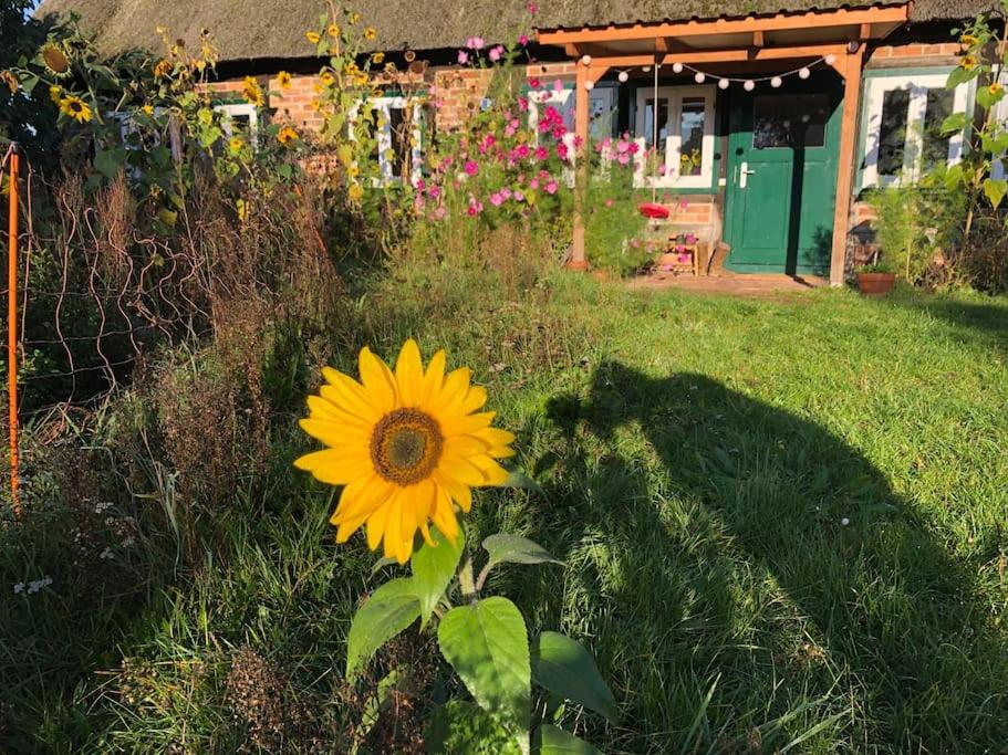 Haus am Fluss und See