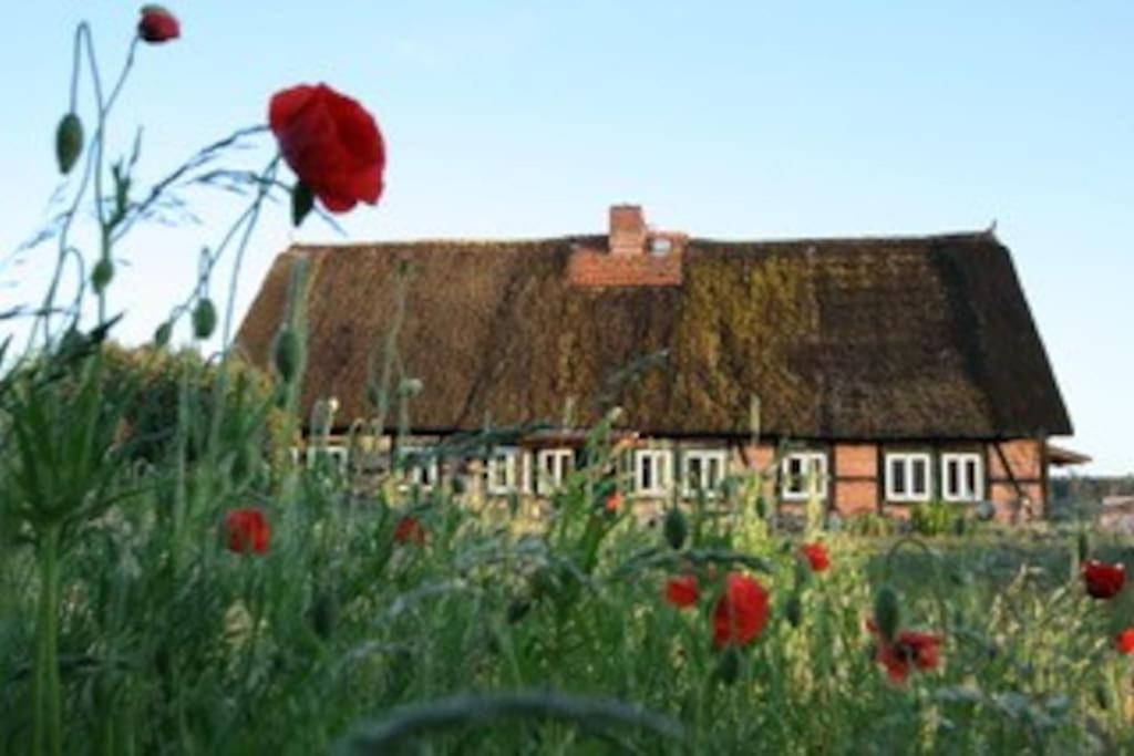 Haus am Fluss und See