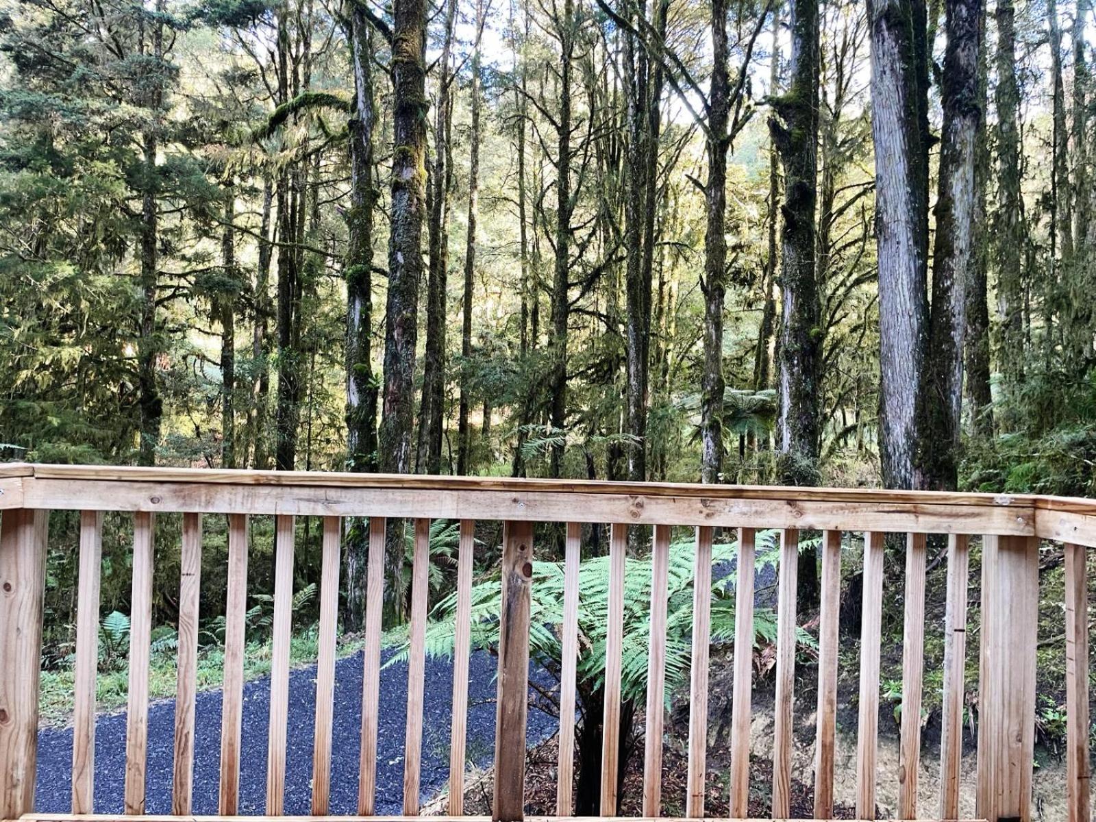 Wonderforest 2 Bedroom Tiny house Ruapehu Unique Stays view 3