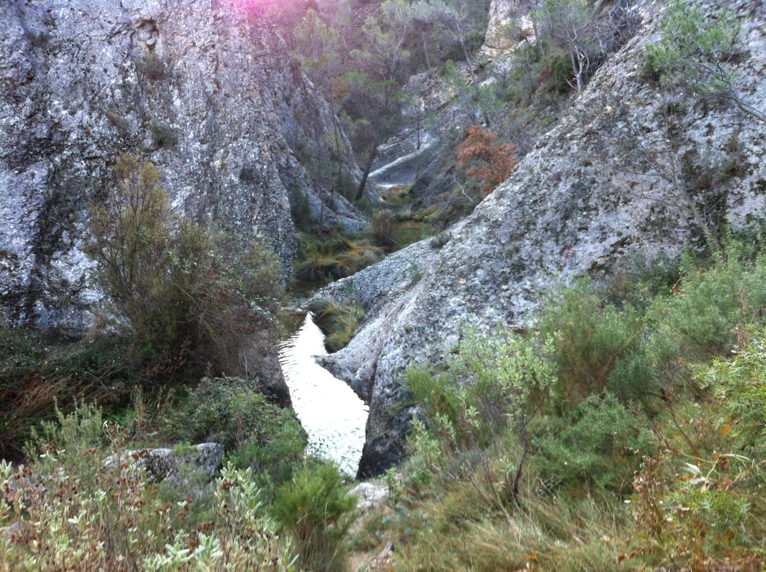 Masía La Safranera