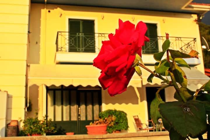 Guesthouse Bizani