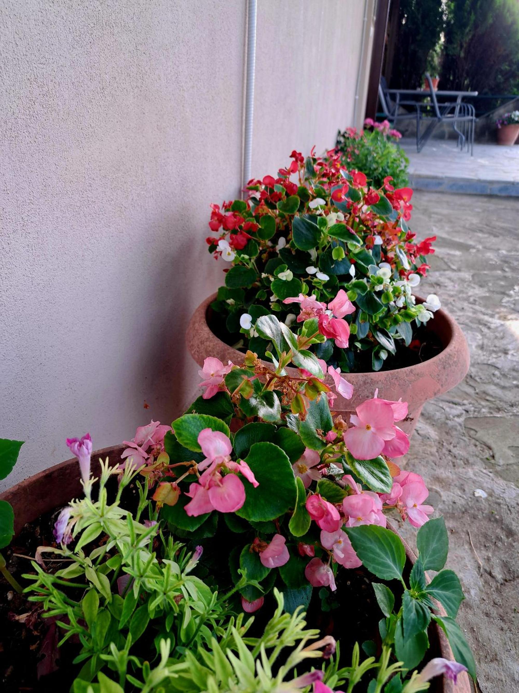 Villaggio traditional living