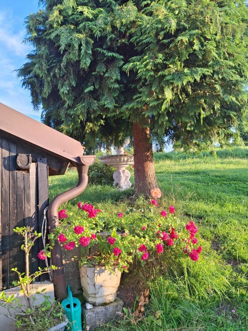 Apartma Grlica