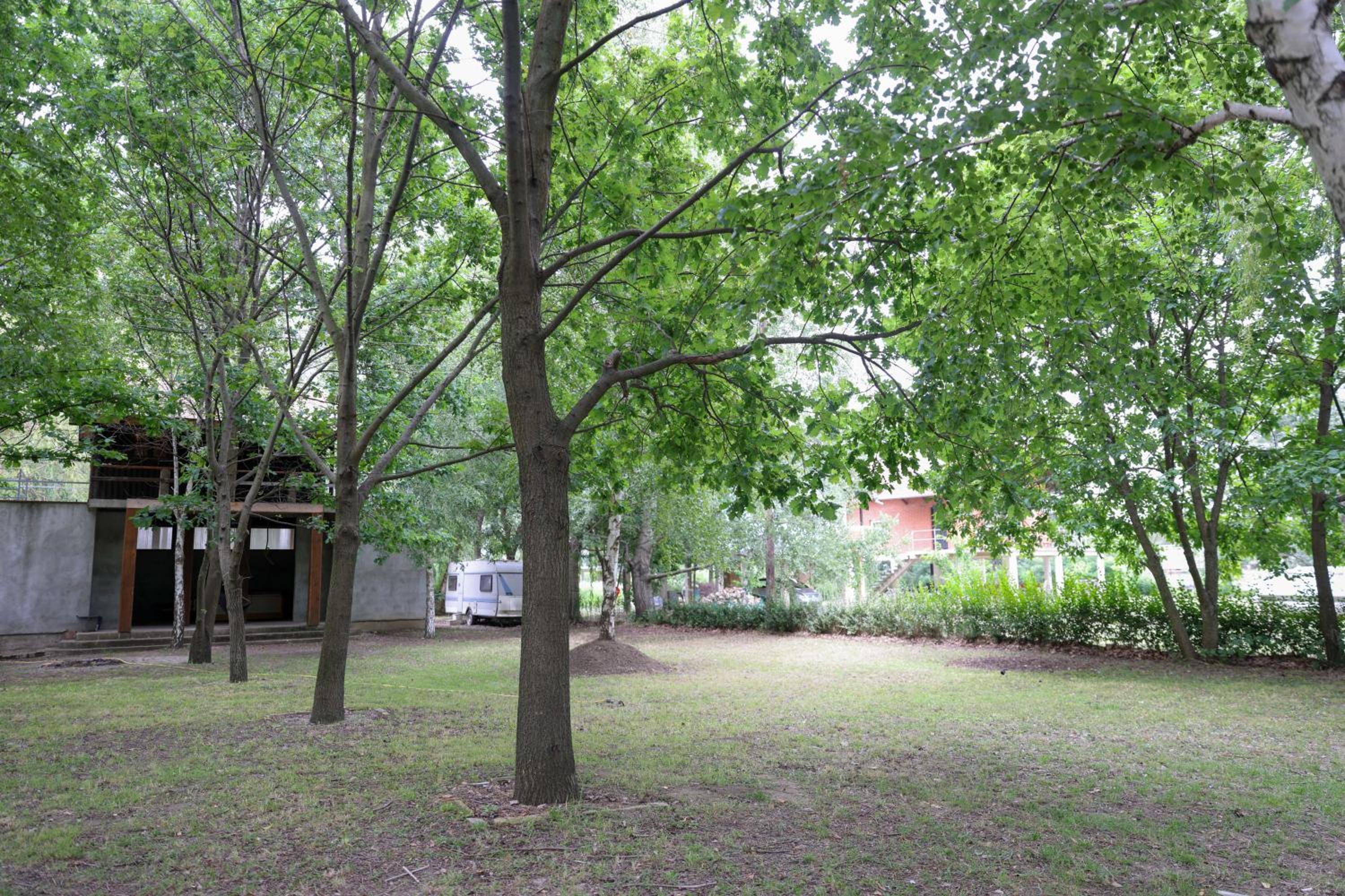 Photo 40