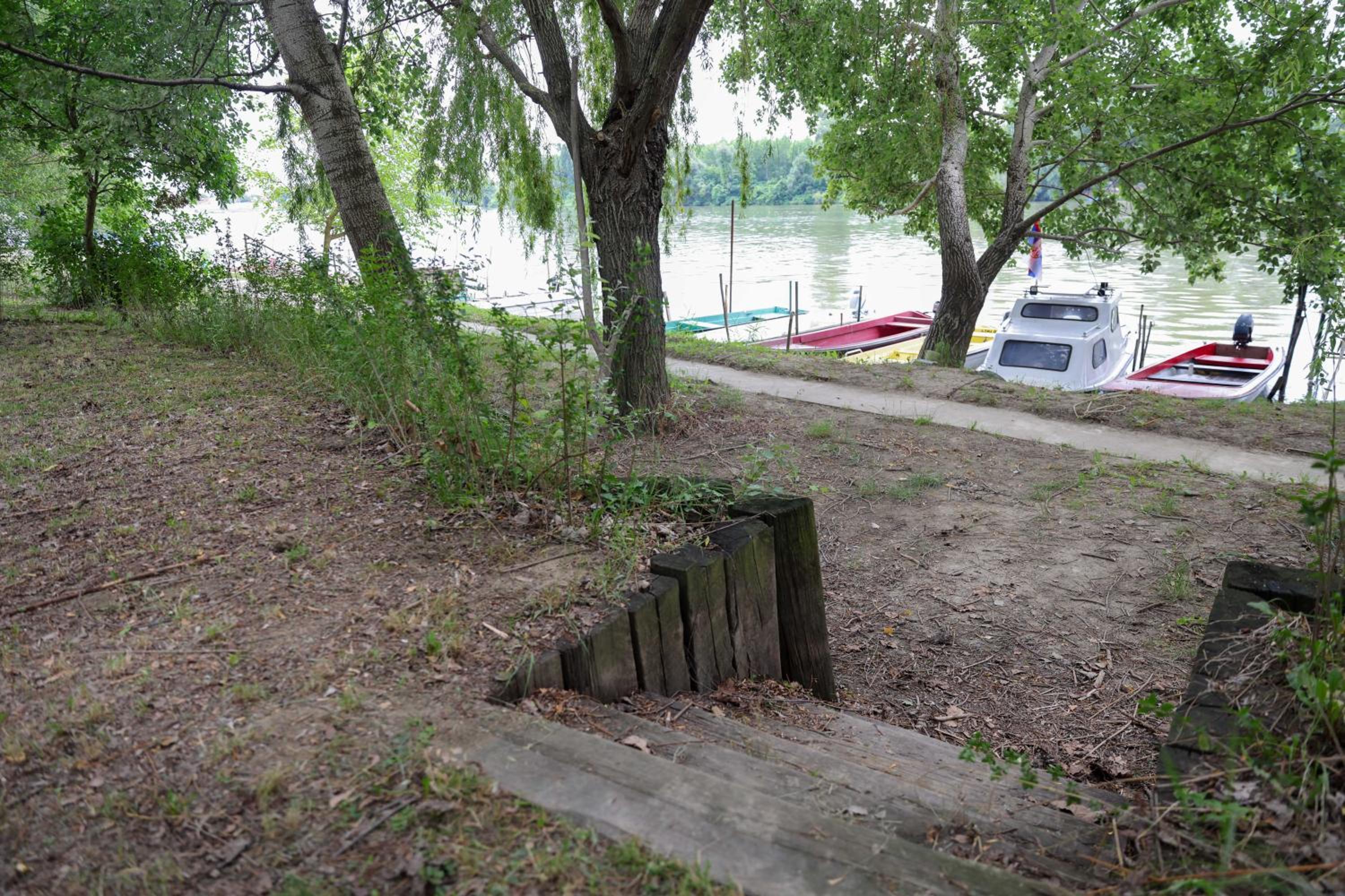 Photo 42