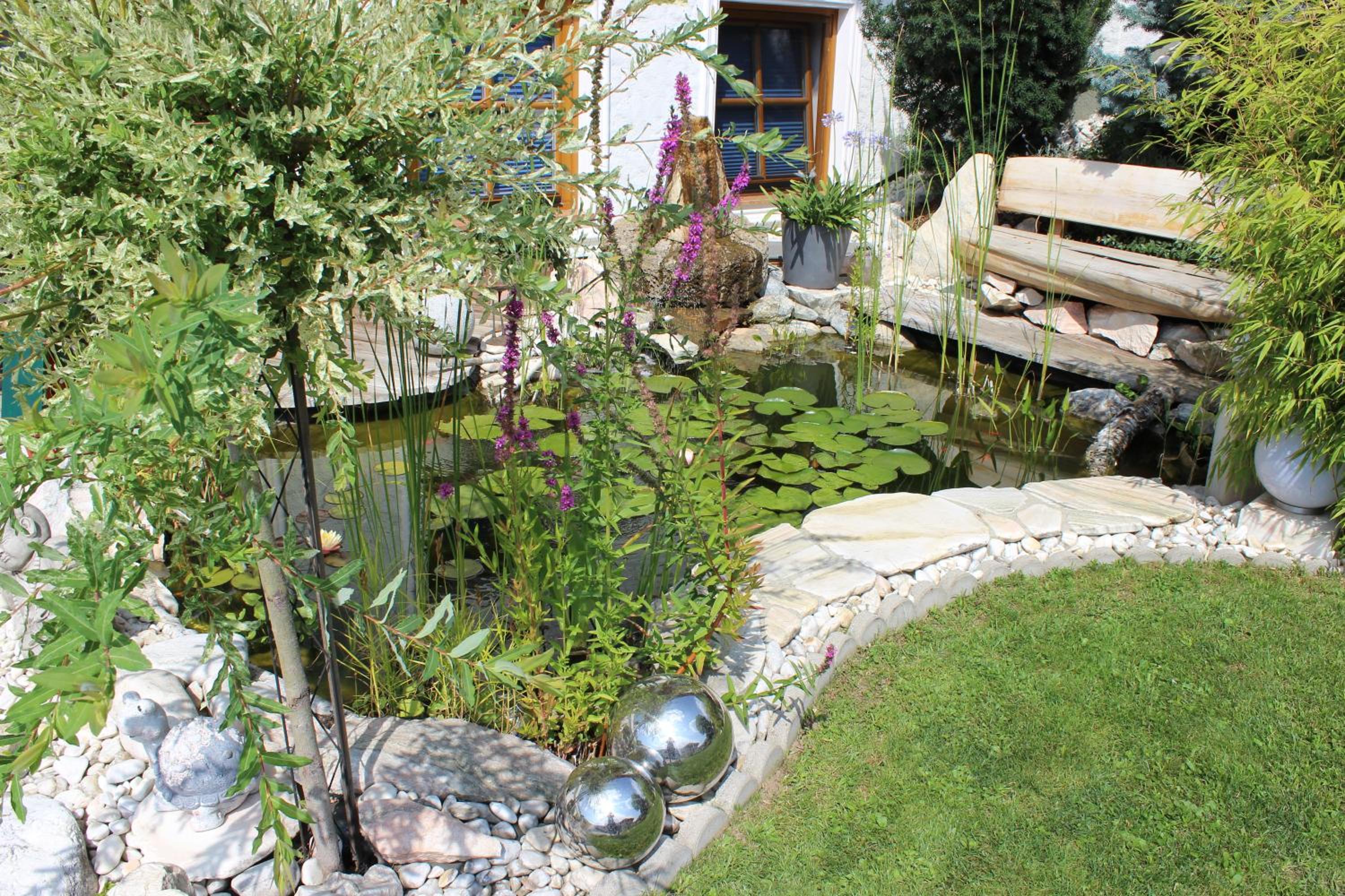 Photo 23