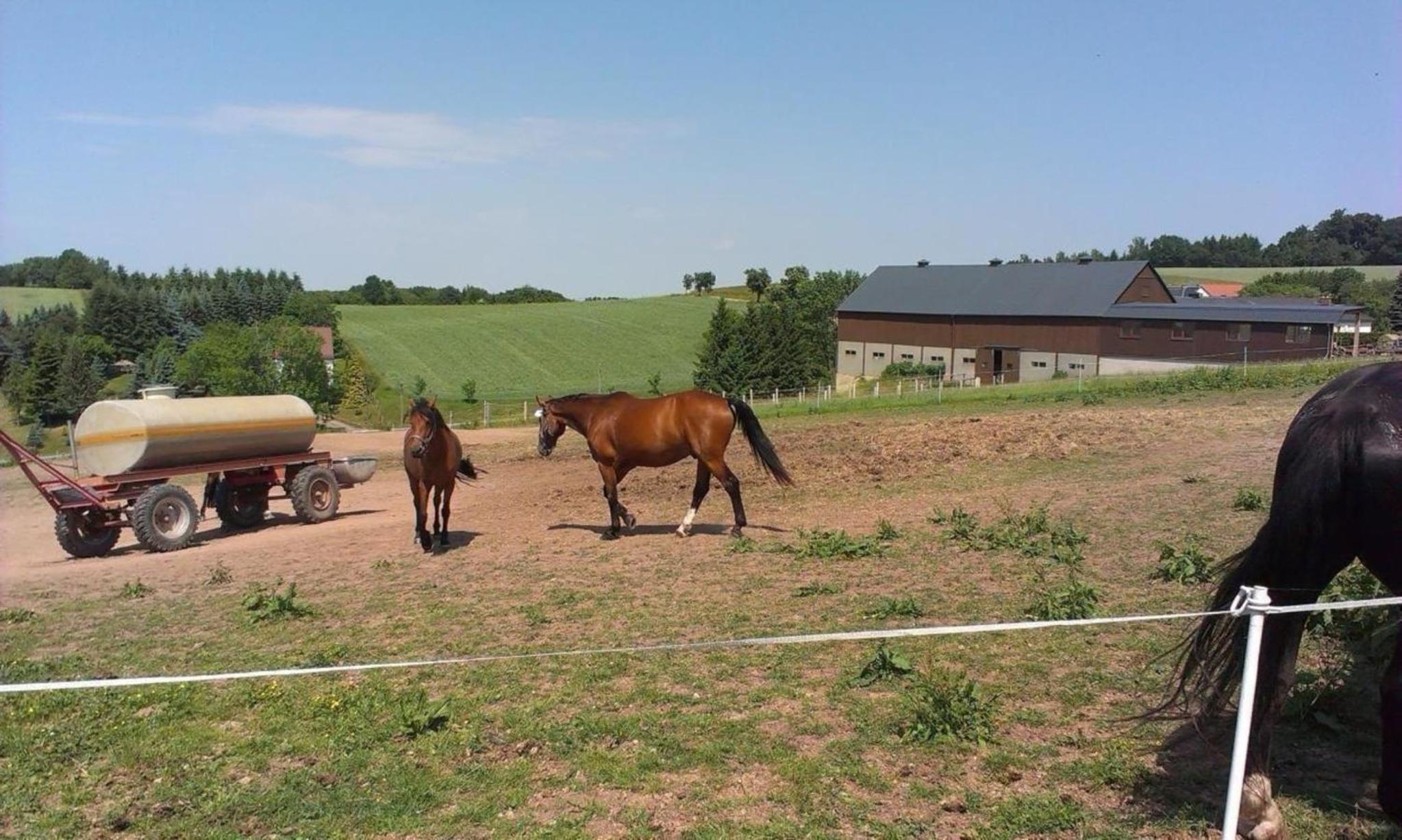 Ferienwohznung Huhle