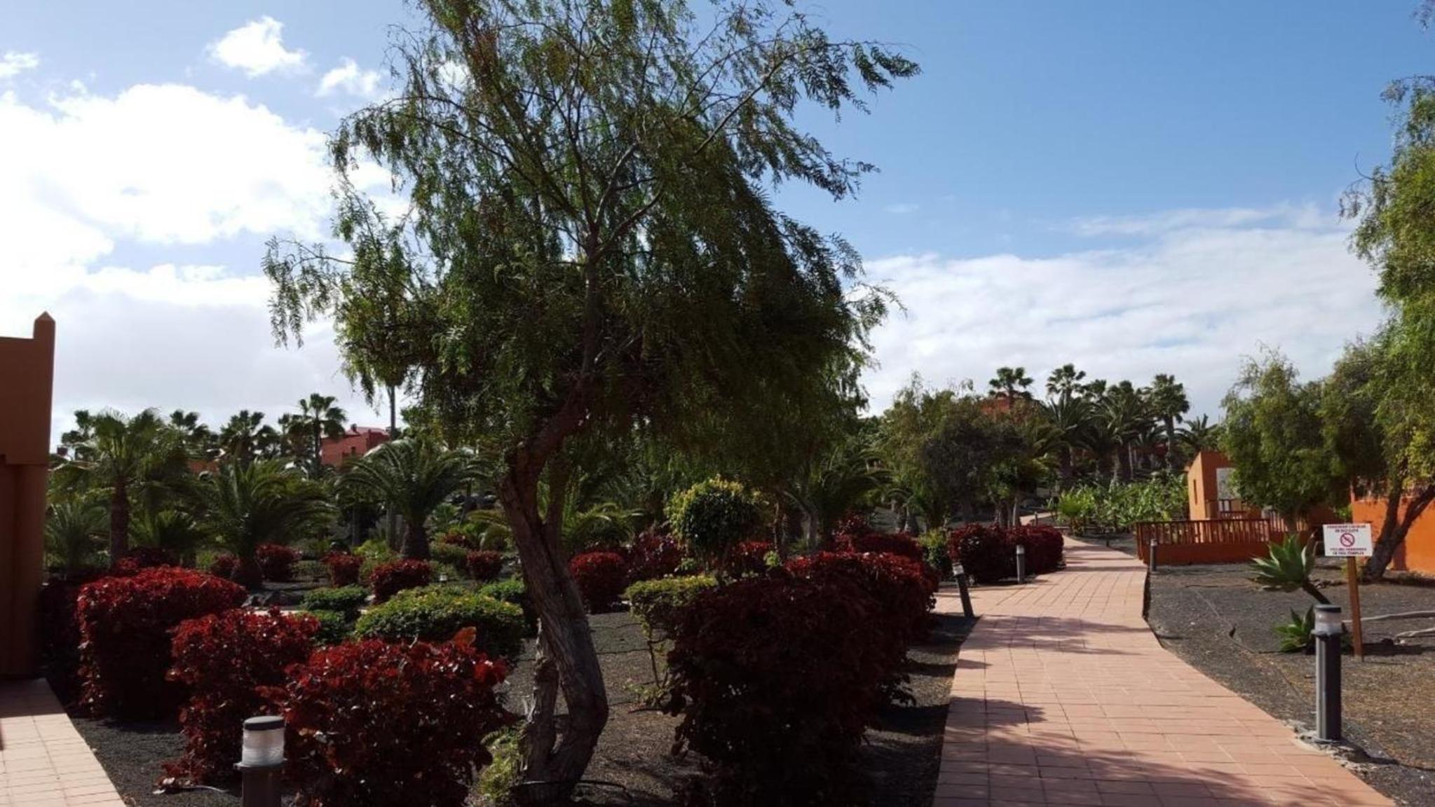 Appartement in Corralejo mit Garten und Terrasse