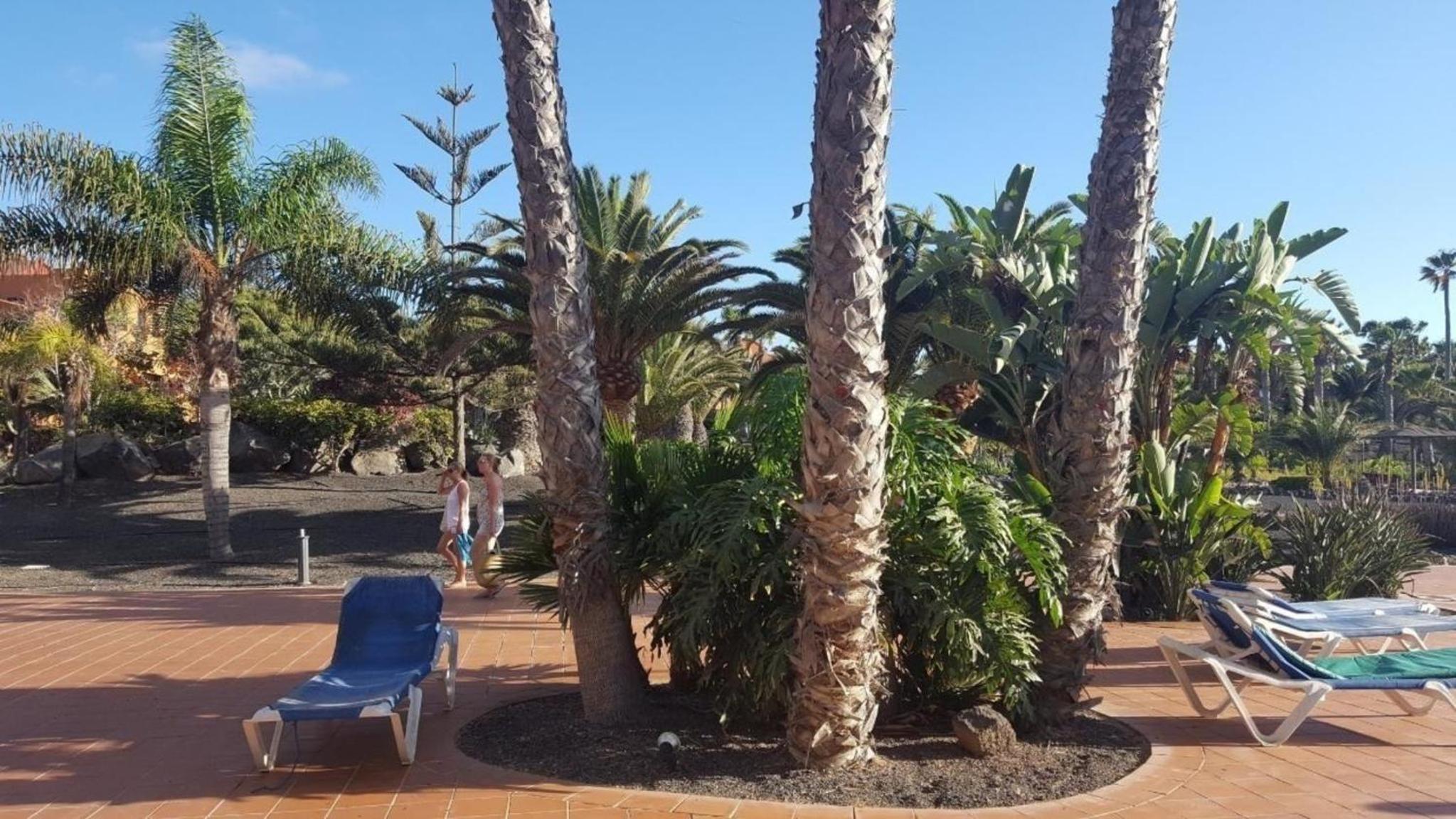 Appartement in Corralejo mit Garten und Terrasse