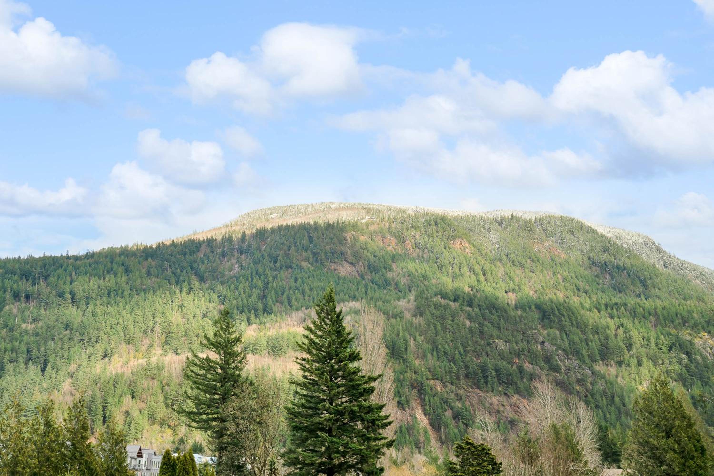 Breathtaking Bliss 2BR Suite Overlooking view