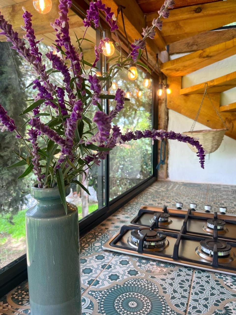 Tiny House Valiosa Paipa Boyacá