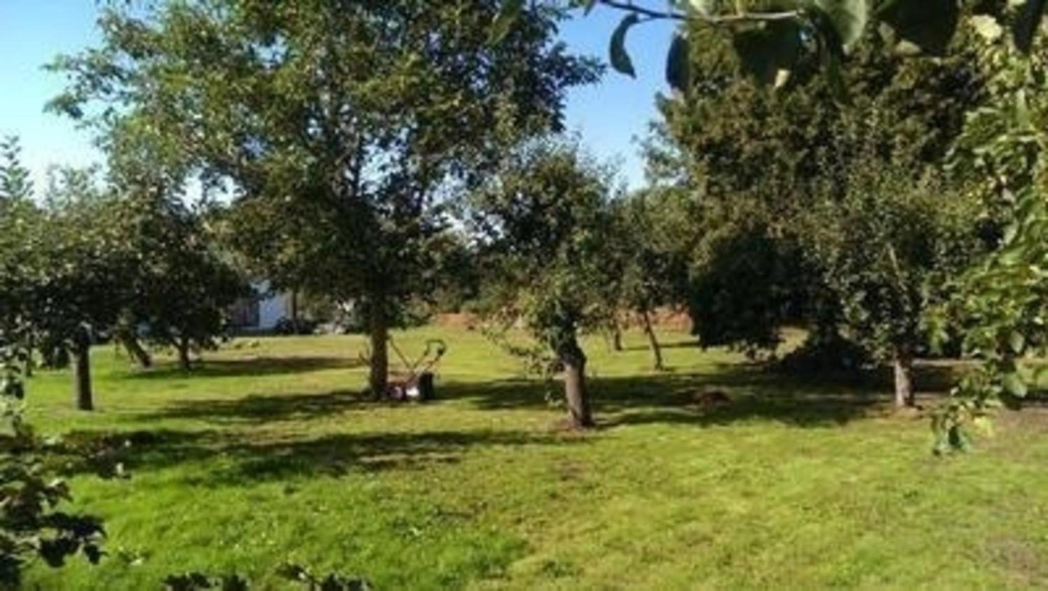 Ferienwohnung in Vorland mit Grill und Garten