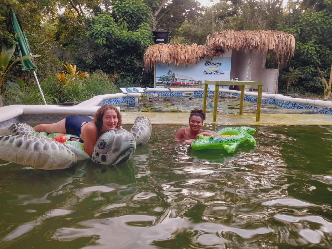 Bio Coliving Tayrona -Espacio para vivir trabajar y descansar en naturaleza