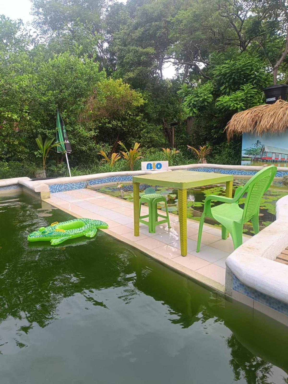 Bio Coliving Tayrona -Espacio para vivir trabajar y descansar en naturaleza
