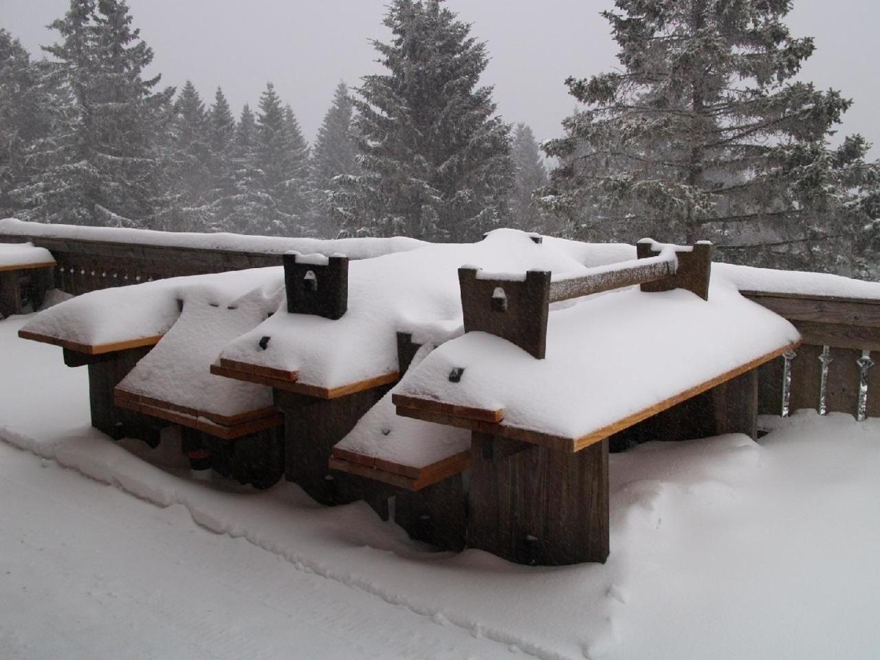 Appartement In Altenau Mit Garten