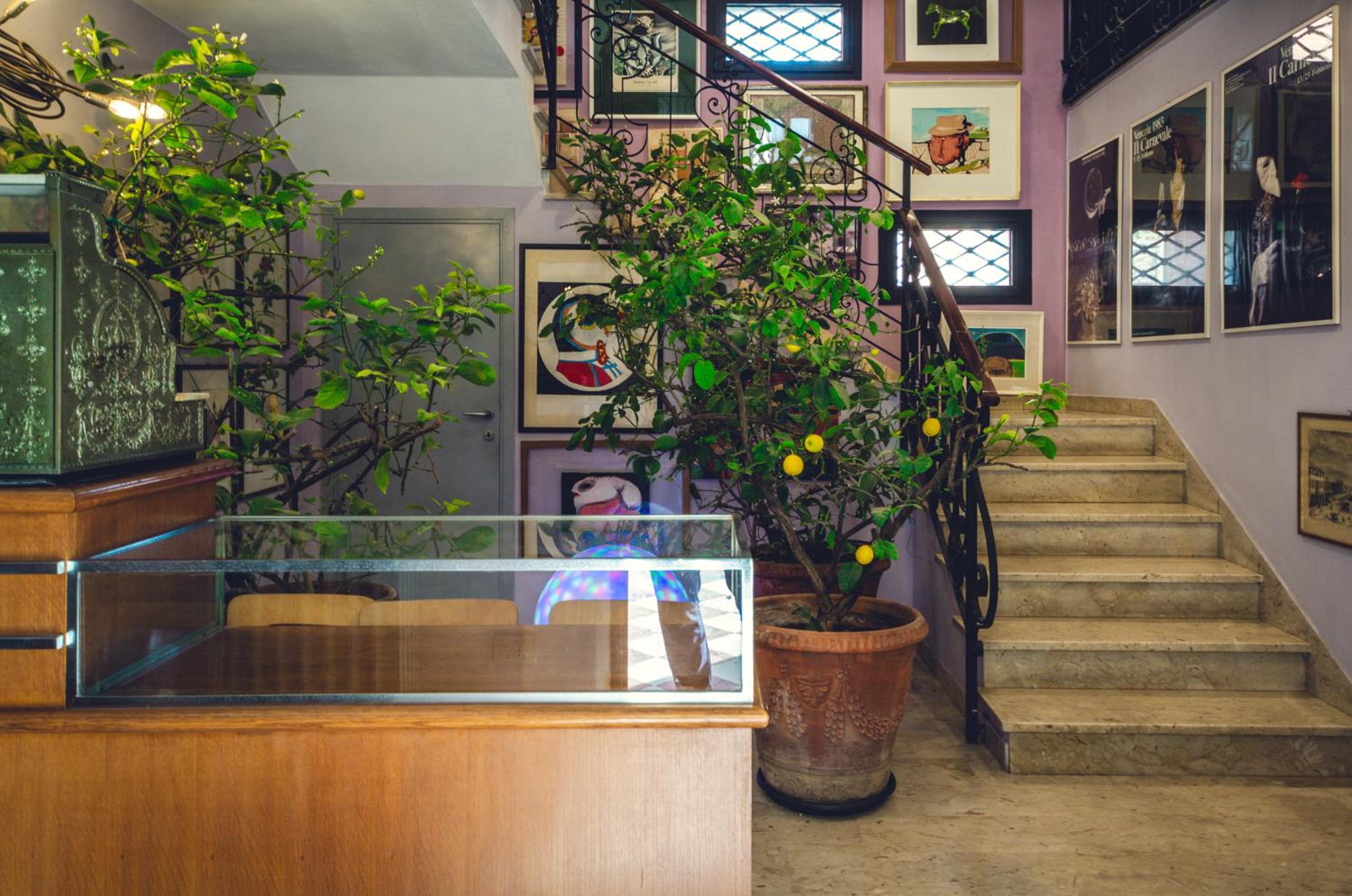 Library House - Venice Apartment