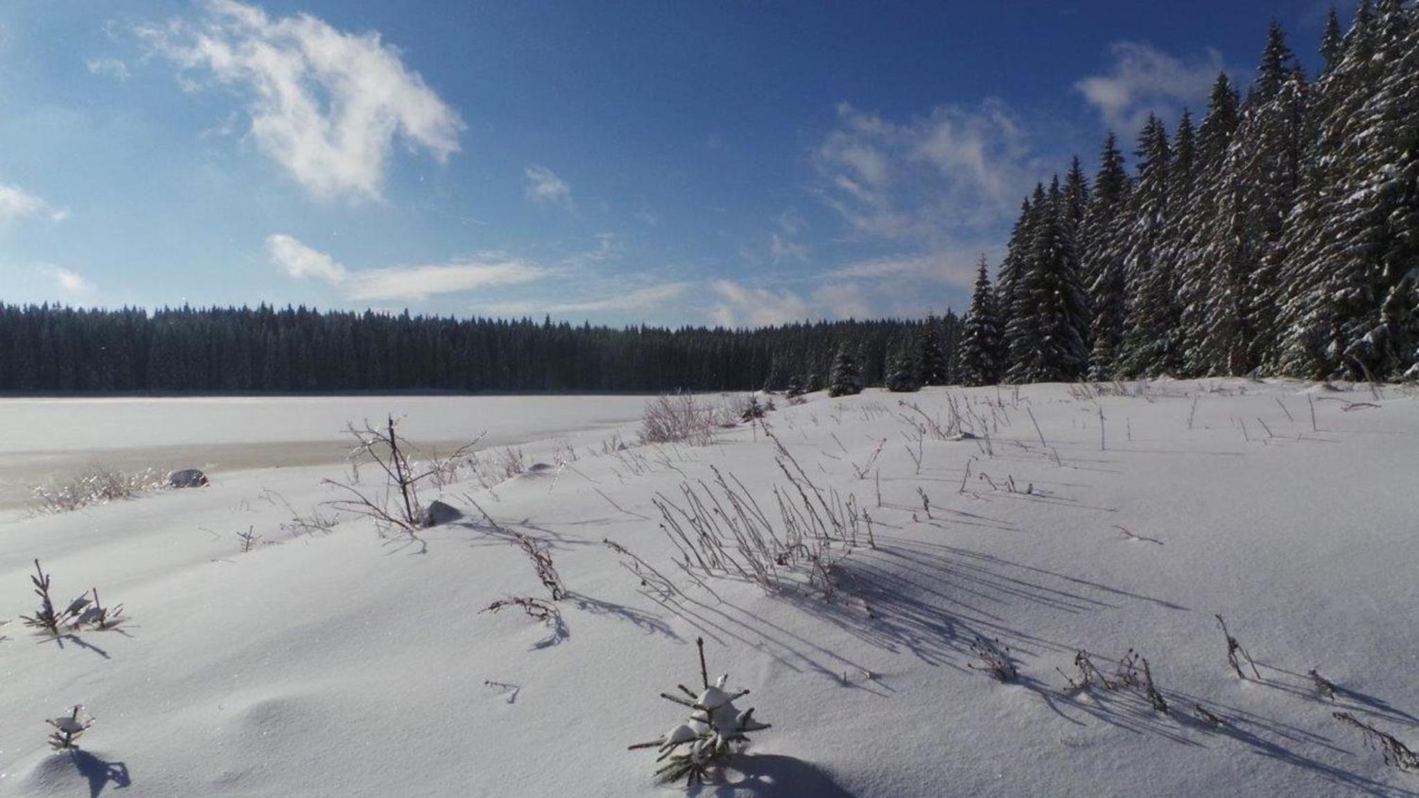 Fewo Am Skihang Og