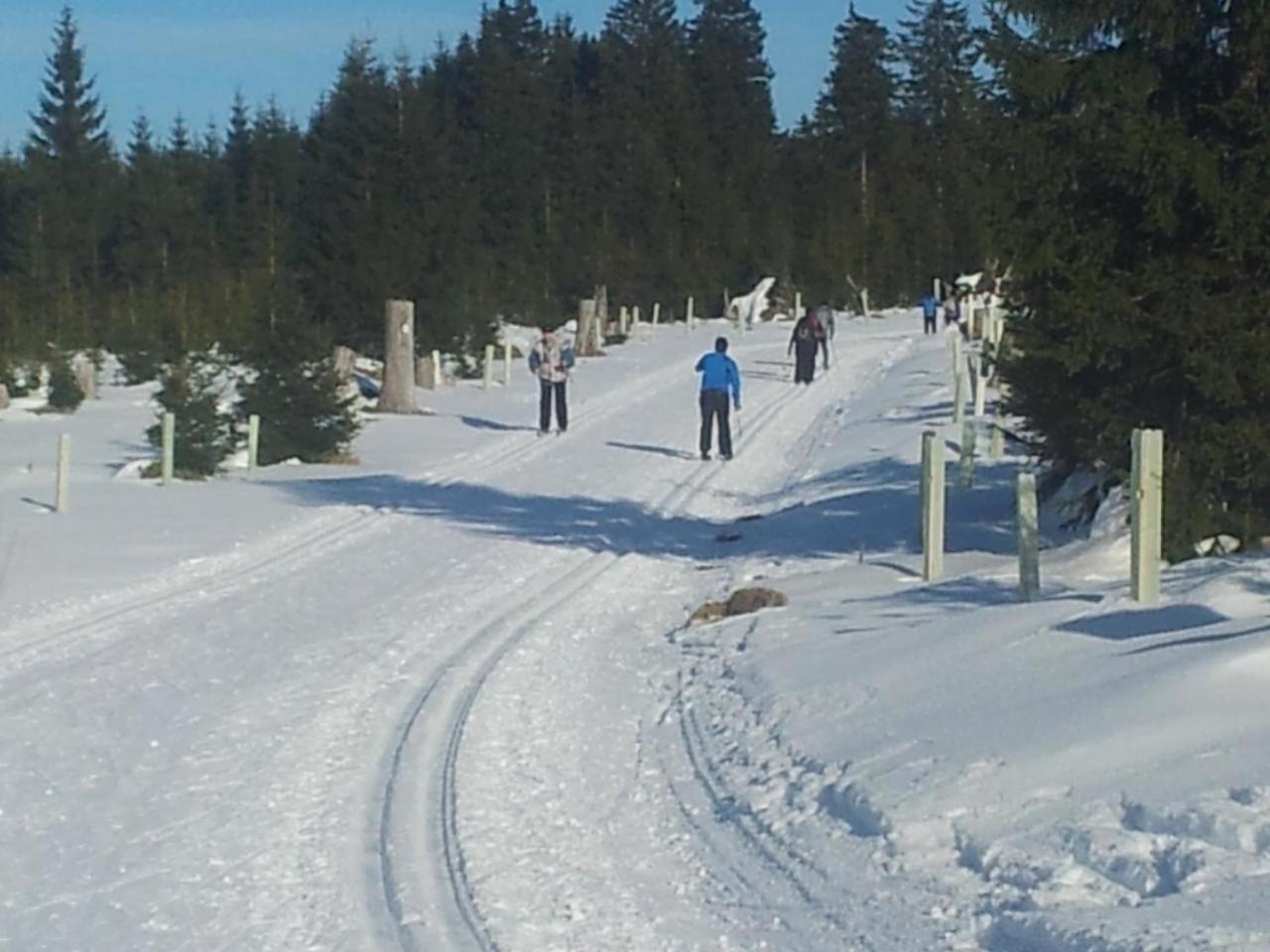 Fewo Am Skihang Og