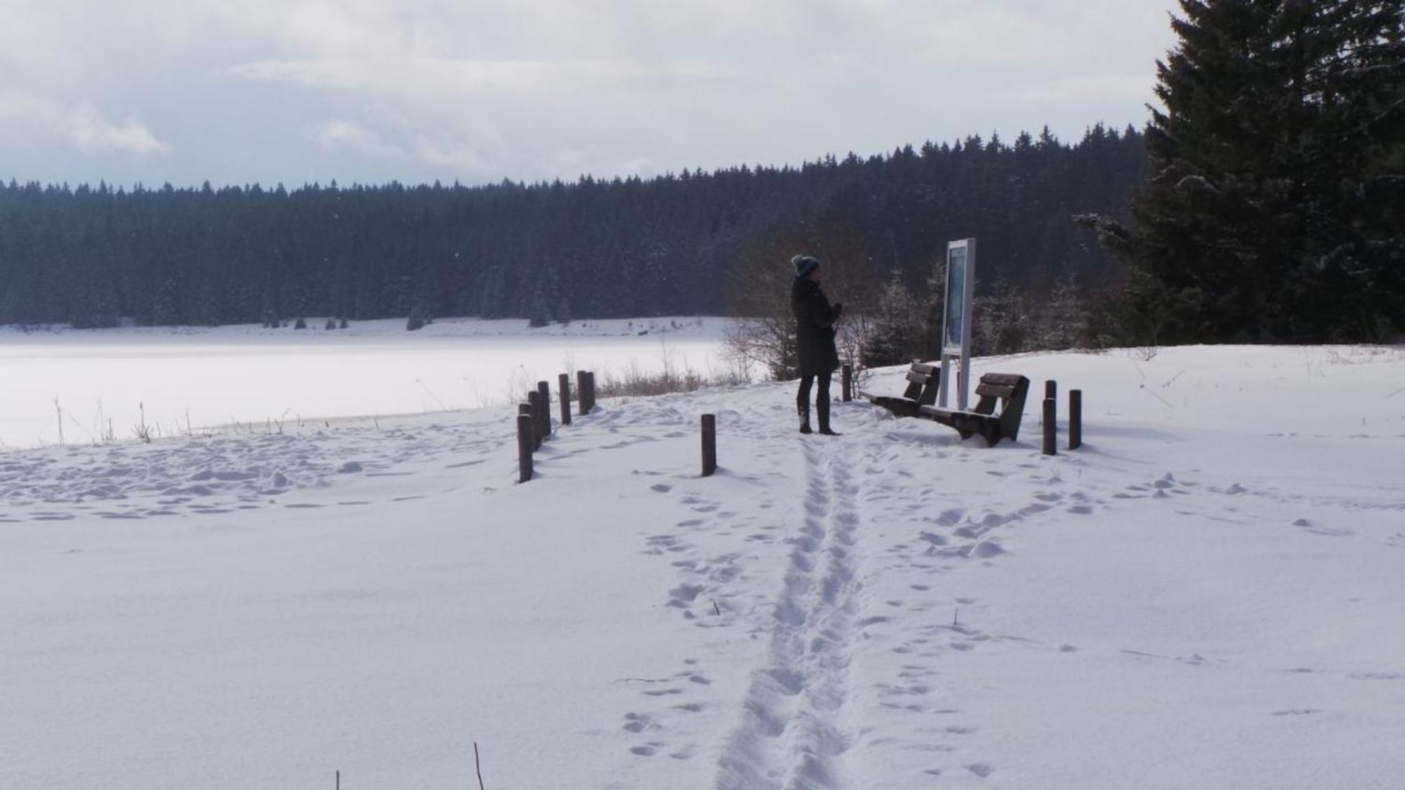 Fewo Am Skihang Og