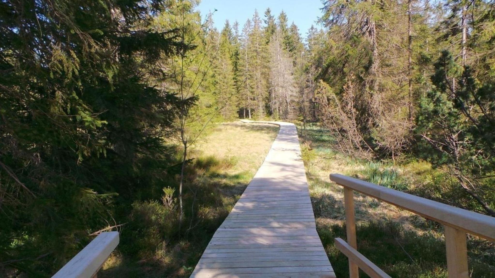 Fewo Am Skihang Og