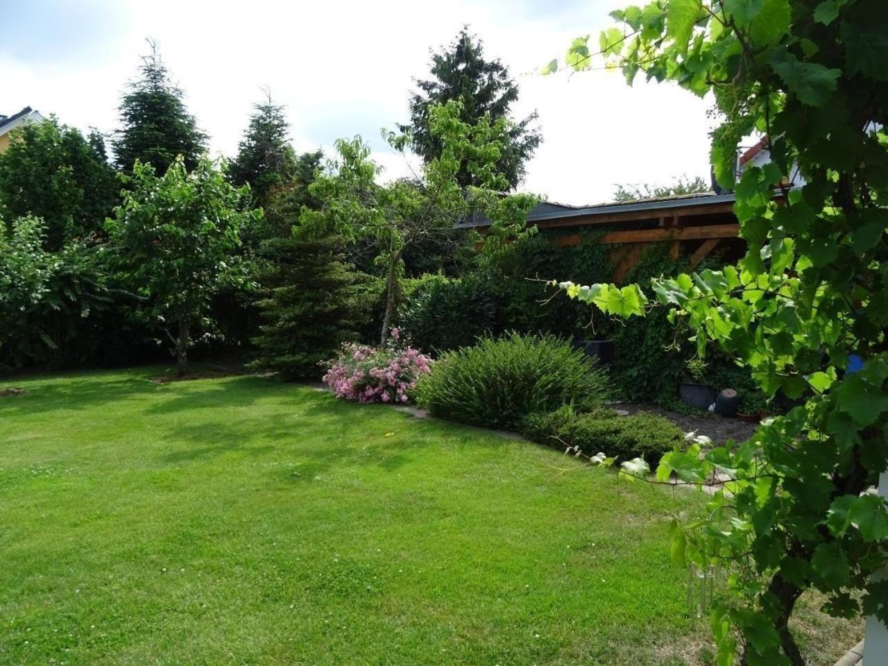 Wunderschones Ferienhaus in Radewege mit Schonem Garten - Property Image 17
