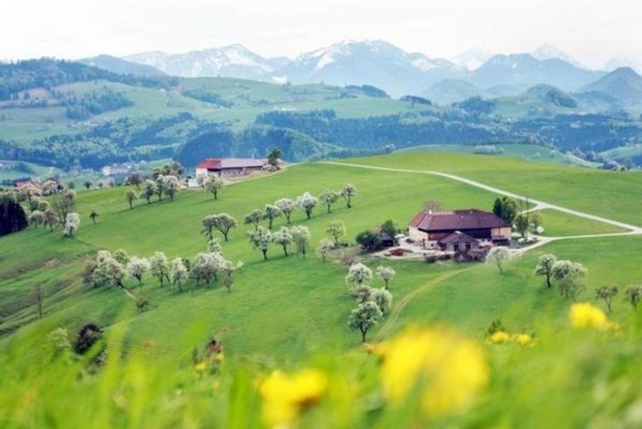 Fewo Gartenblick