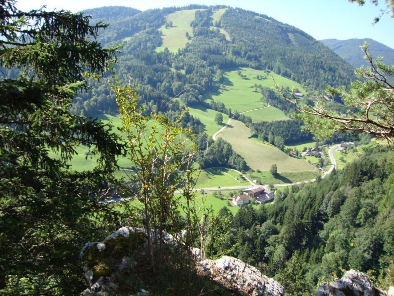 Fewo Gartenblick