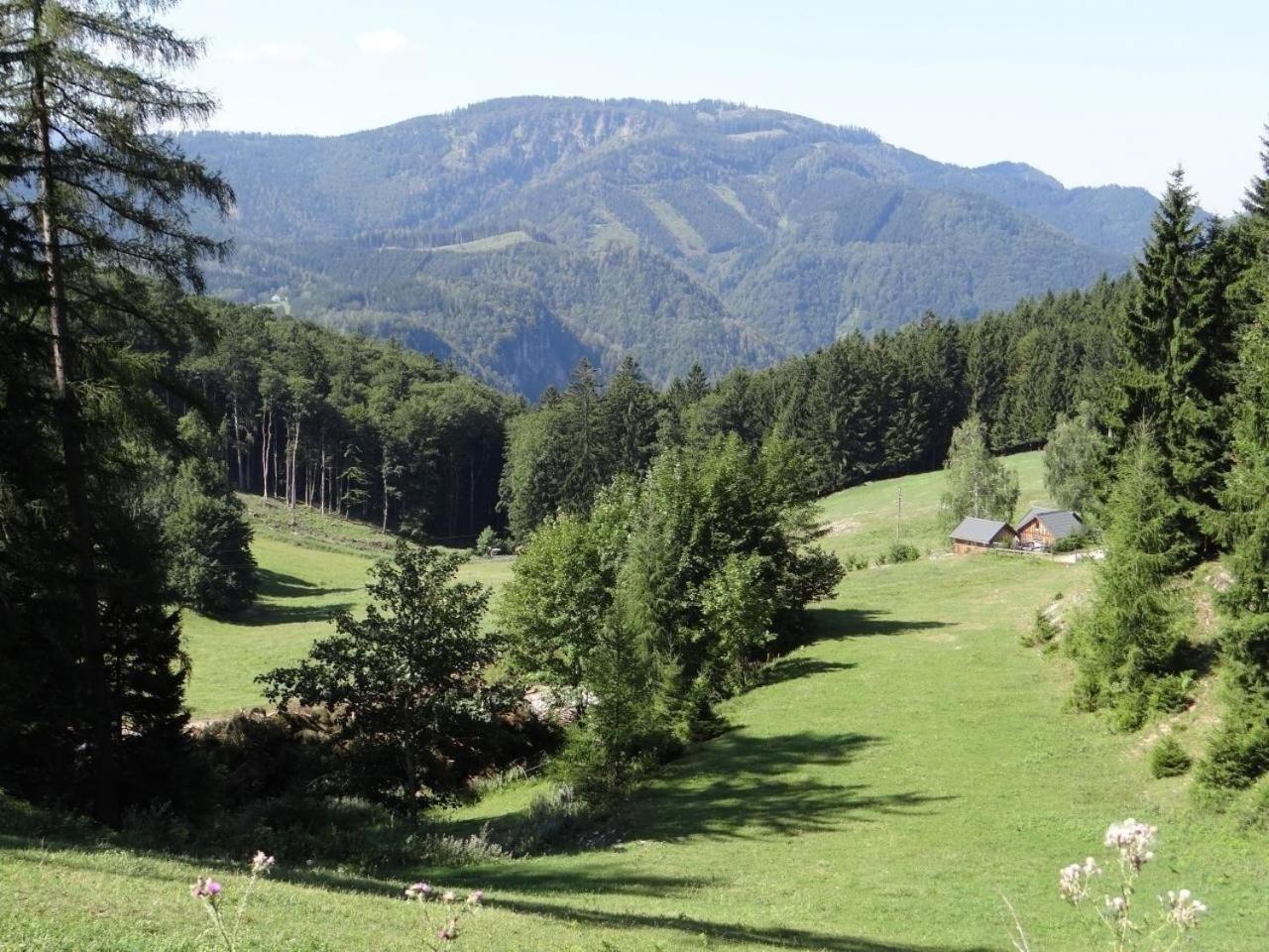 Fewo Gartenblick