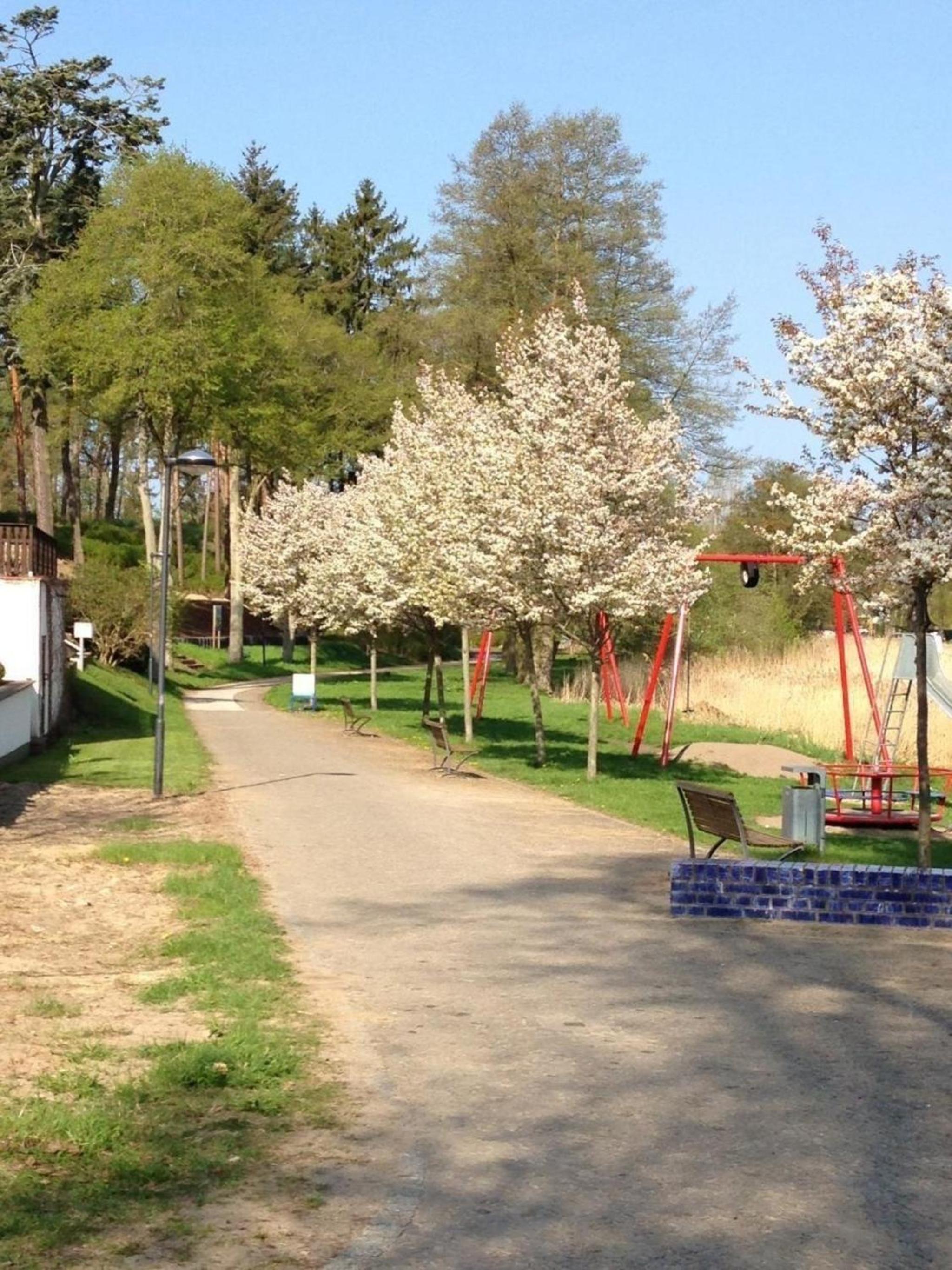Schöne Wohnung in FürstenbergHavel mit Grill, Terrasse und Garten