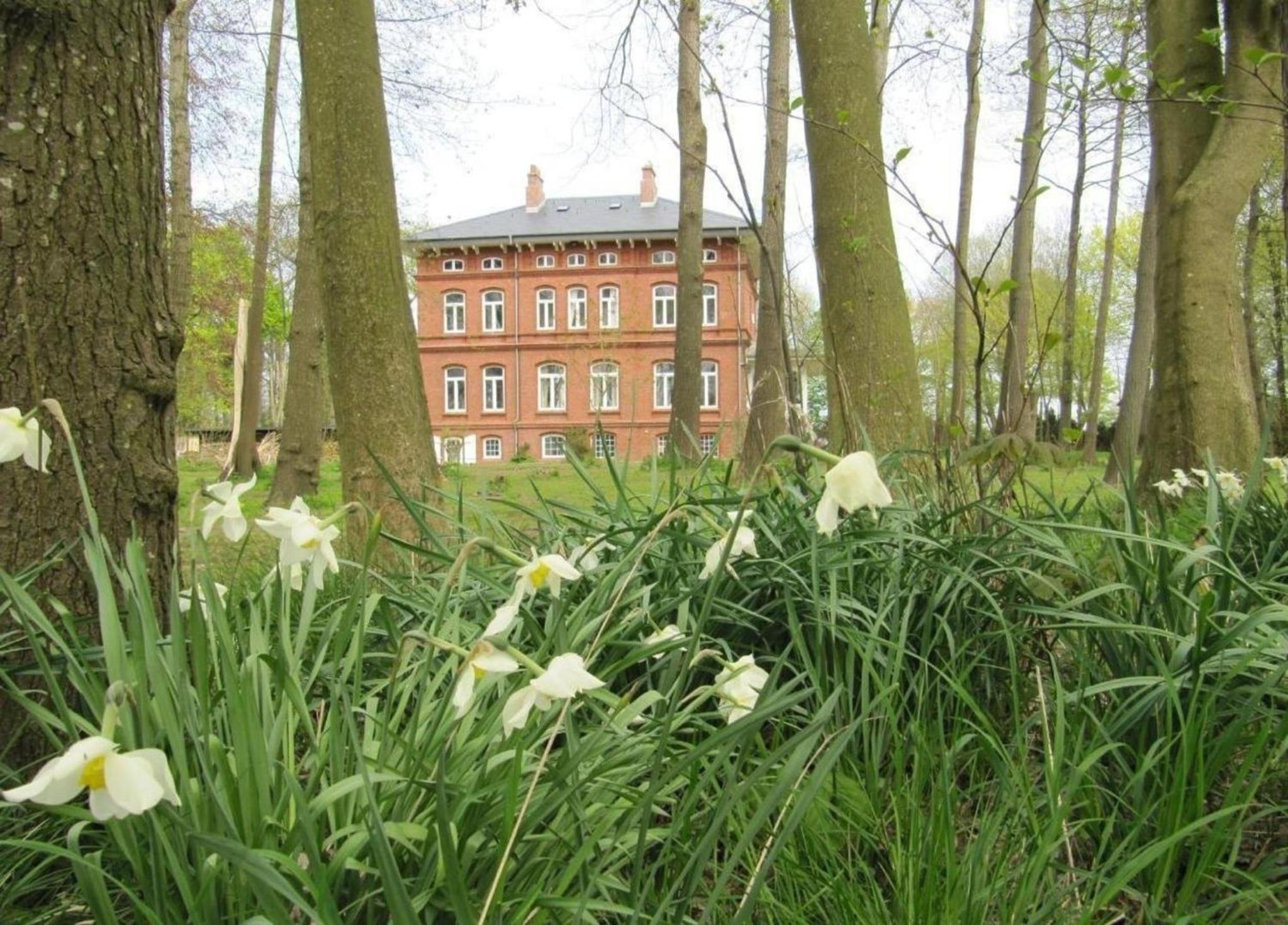 Haus im Park - Hebbel-Stuben mit gr Wohnküche & TV view 3