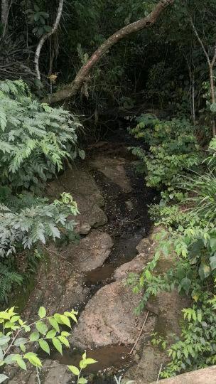 Finca el Okaso