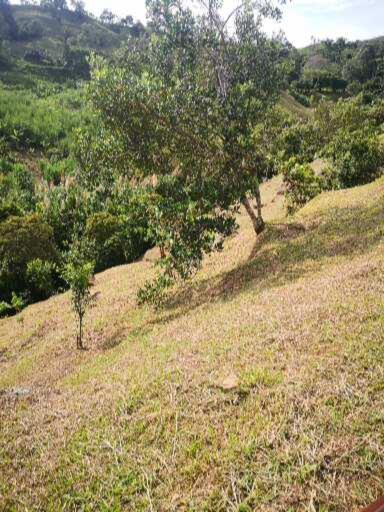 Finca el Okaso