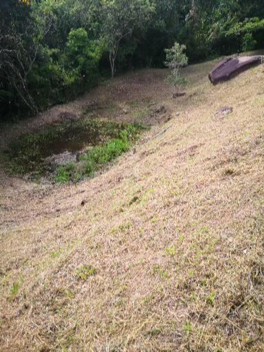 Finca el Okaso