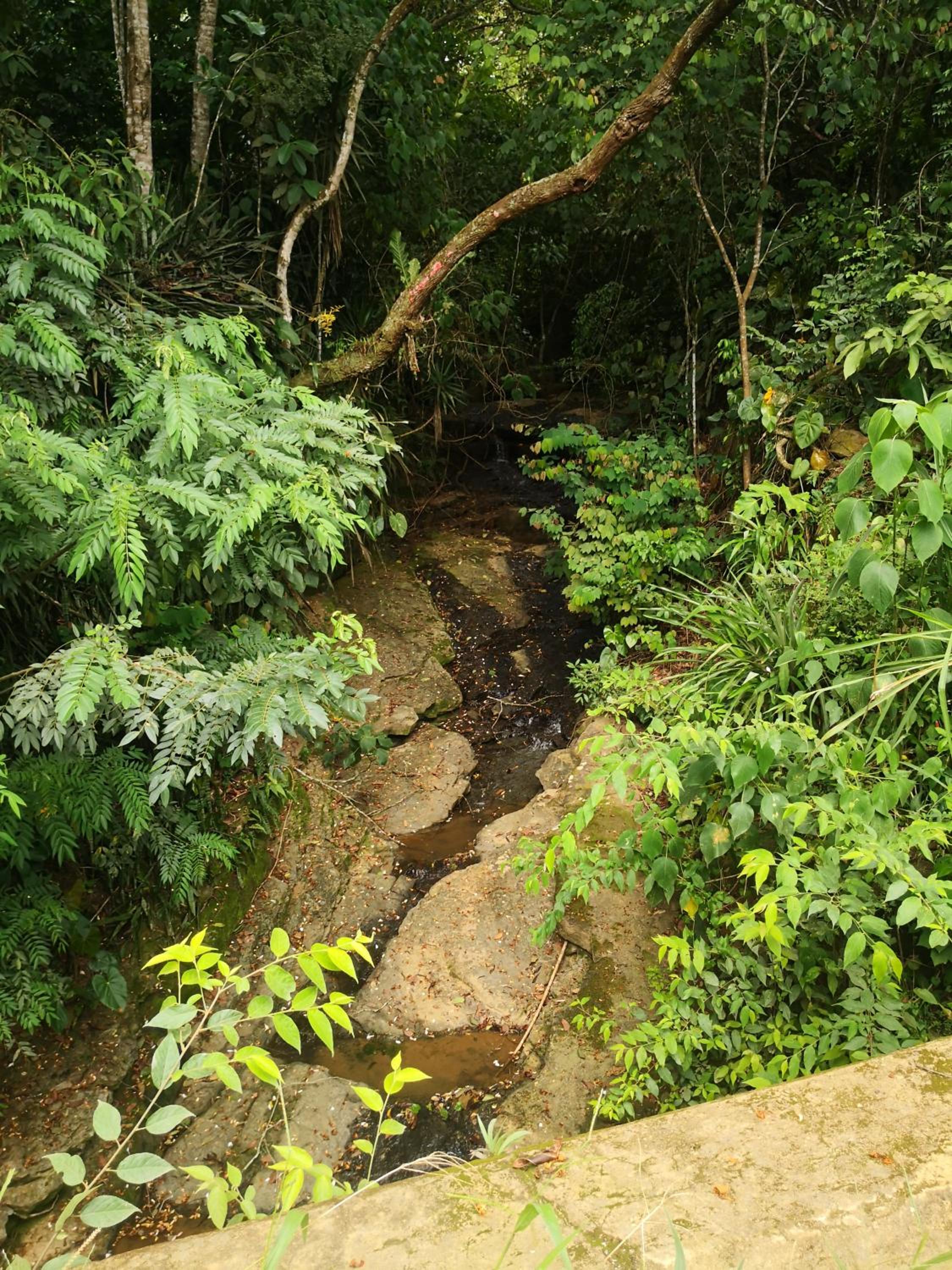 Finca el Okaso