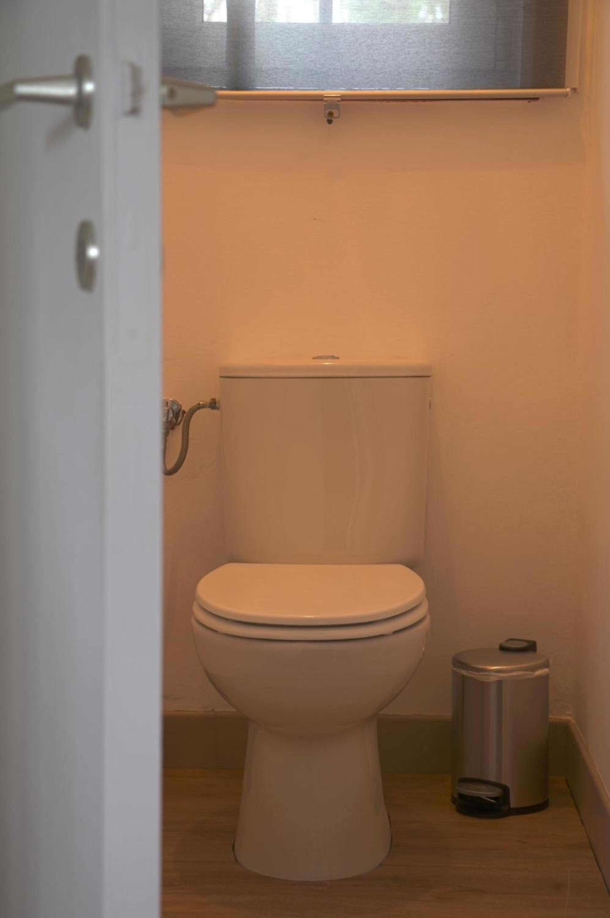 Heidebos, photo 11
