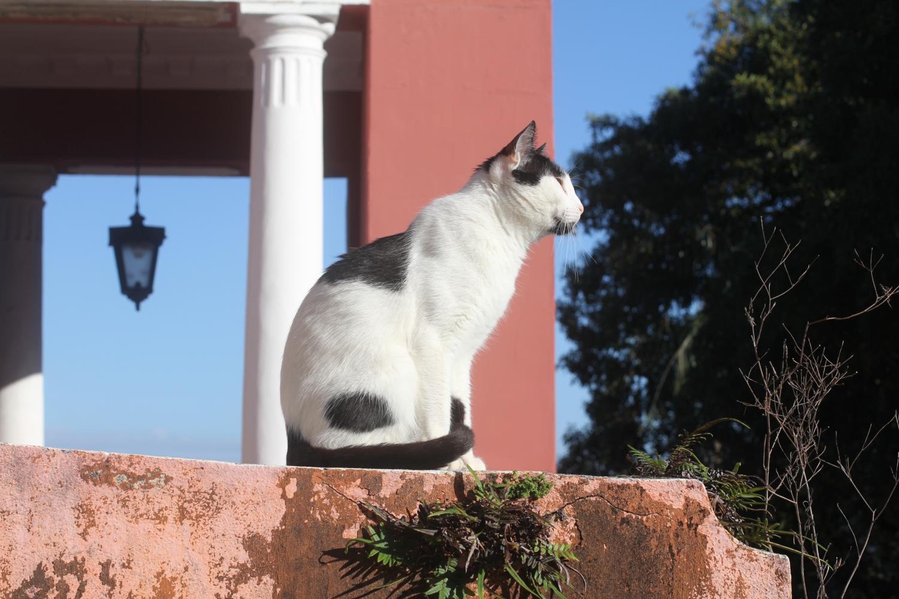 Casa Laranja