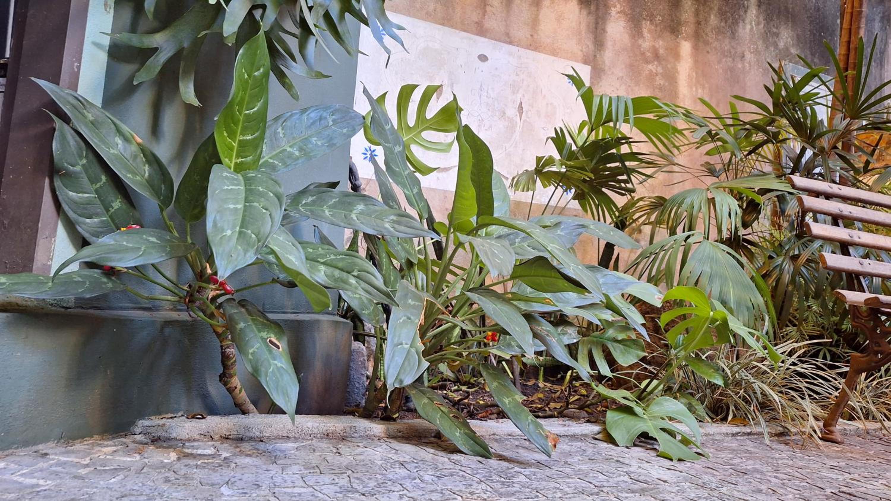 Casa Laranja