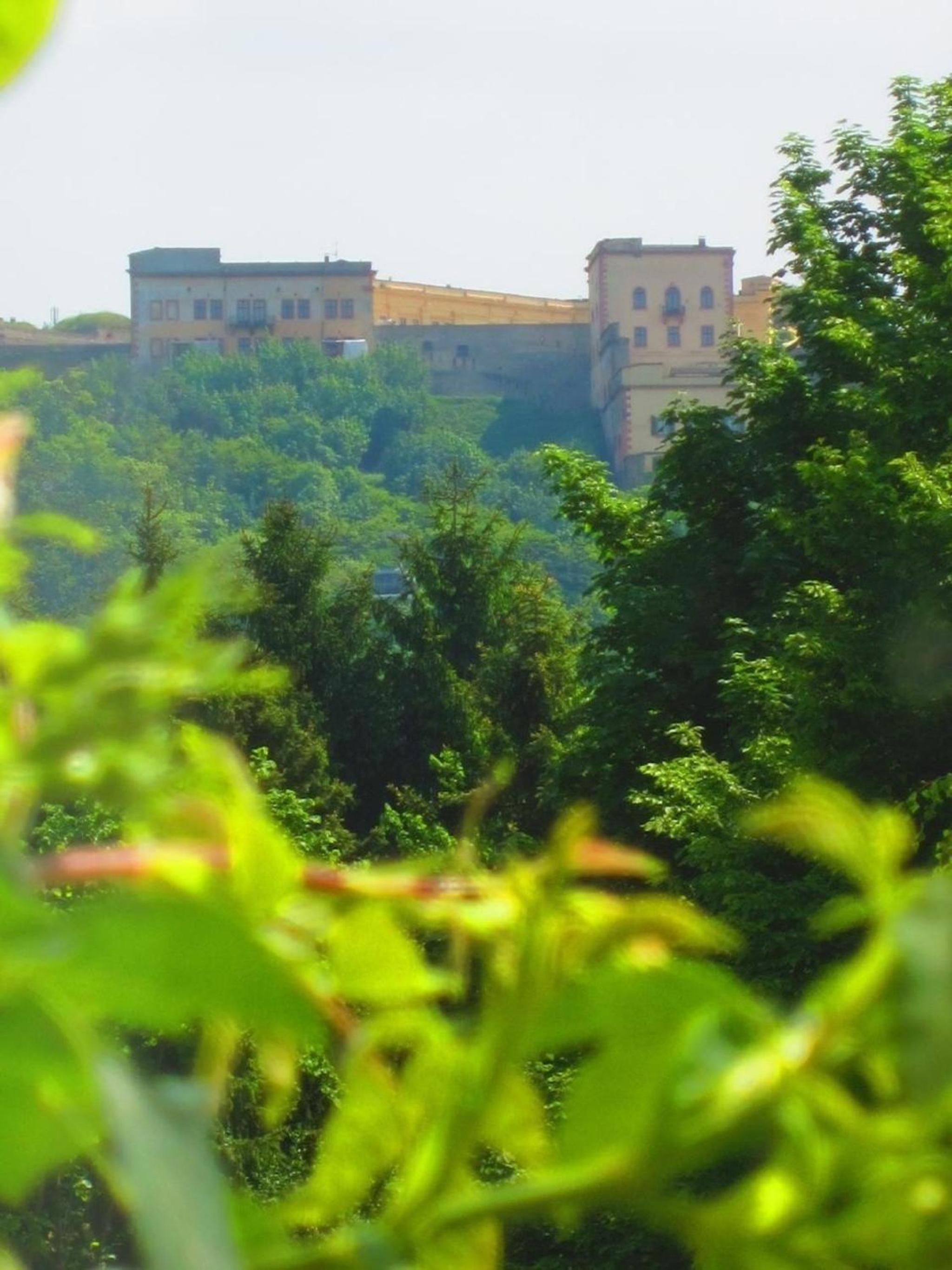 Ferienwohnung direkt an Rhein und Mosel