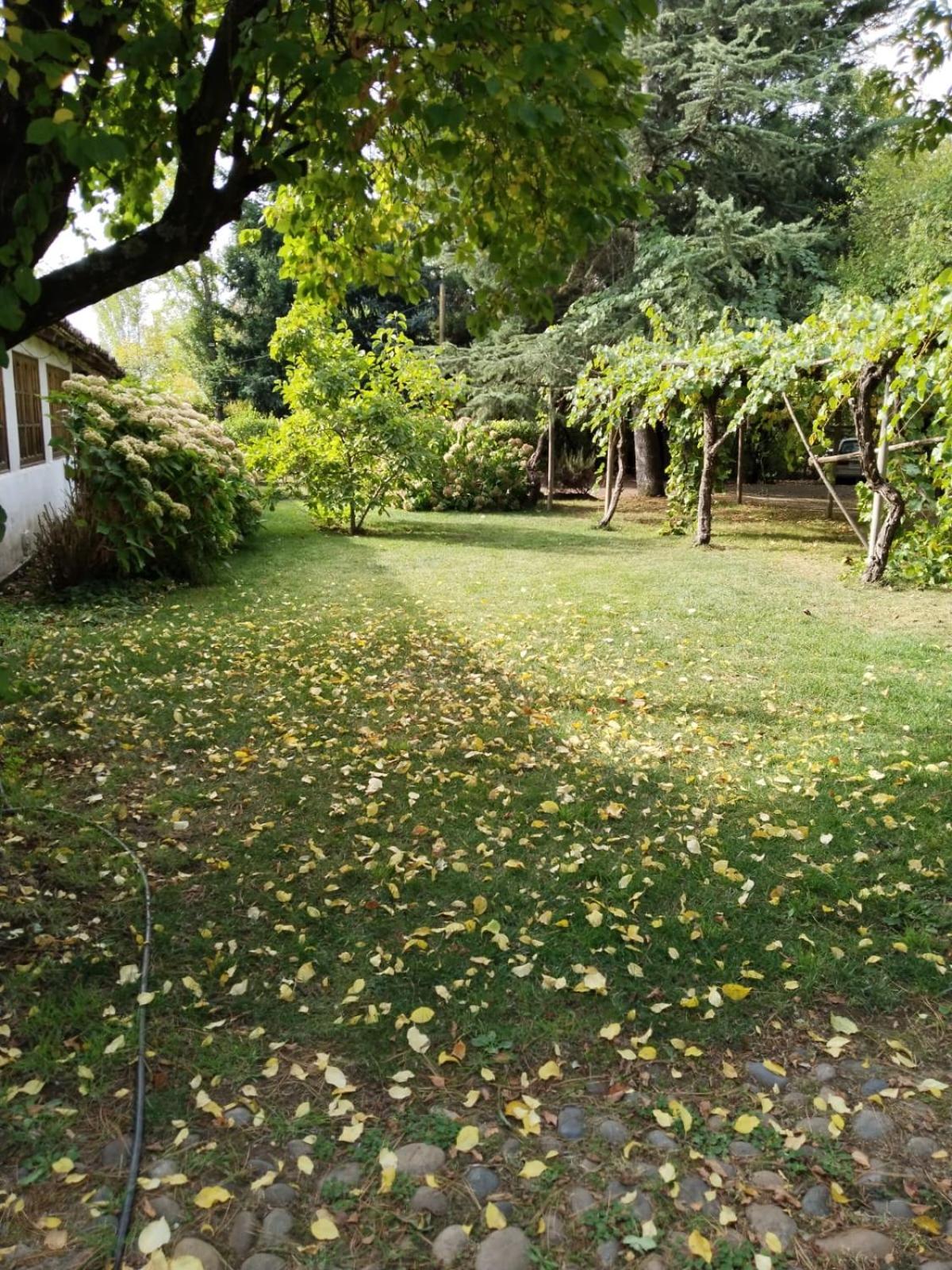 La Casa de Adobe Natural y Más