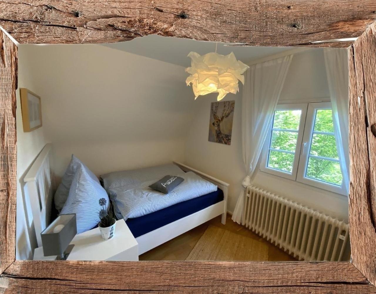 Schwarzwaldhaus St Blasien, Direkt Am Bach