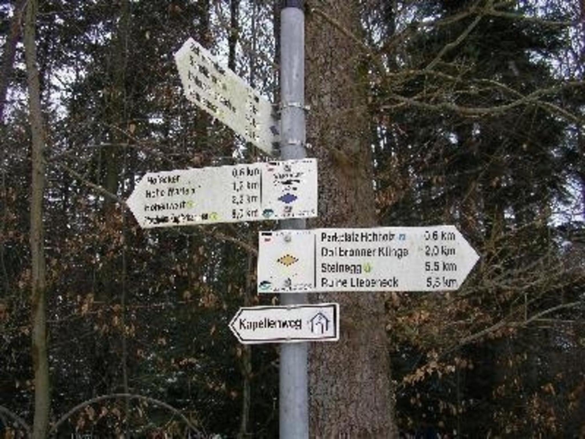 Nur Dach Ferienhaus Für Vier Personen