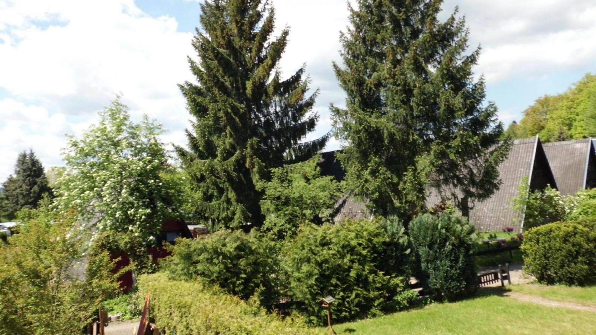 Nur Dach Ferienhaus Für Vier Personen