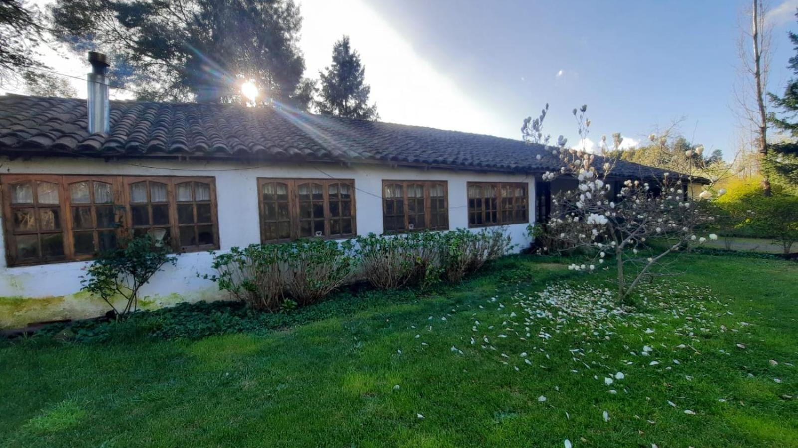 La Casa de Adobe Natural y Más