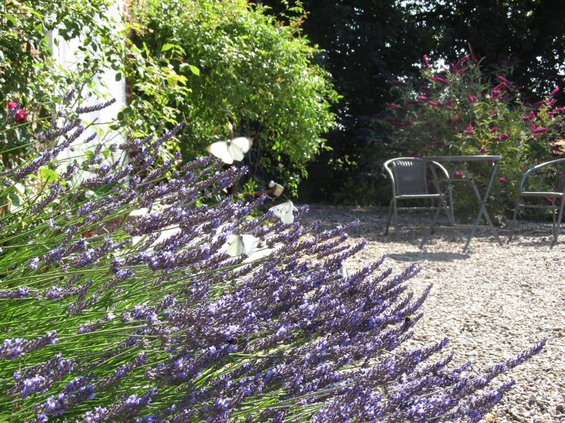 Ferienwohnung in Stoltebüll mit Kleiner Terrasse