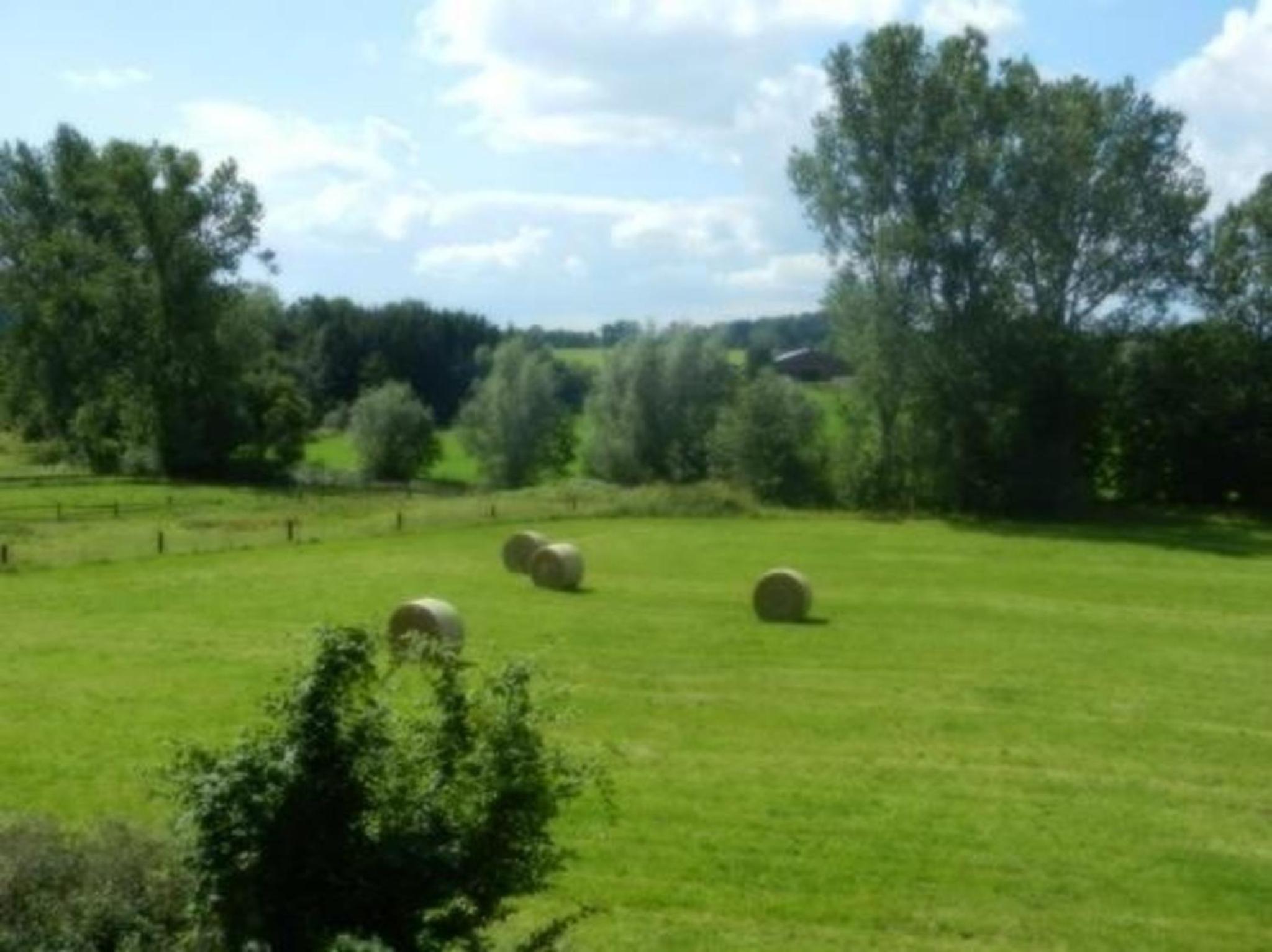 Ferienwohnung Preiser in Schieder-Schwalenberg - Property Image 11